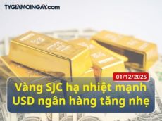 01/12: Vàng SJC hạ nhiệt mạnh, USD ngân hàng tăng nhẹ