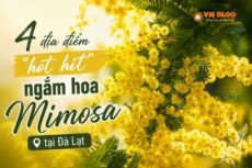 4 địa điểm