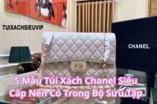 5 Mẫu Túi Xách Chanel Siêu Cấp Nên Có Trong Bộ Sưu Tập Của Bạn