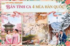 Bản Tình Ca 4 Mùa Hàn Quốc: Trọn Vẹn Hành Trình Cùng Liên Bang Travel