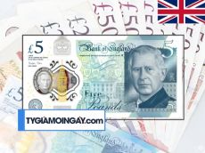 Bảng Anh Vietcombank Hôm Nay Biến Động Ra Sao? | Tỷ giá mỗi ngày