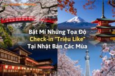 Bật Mí Những Tọa Độ Check-in