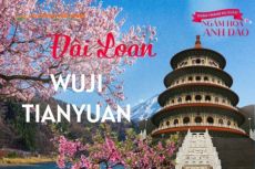 Cảm Nhận Vẻ Đẹp Của Đền Thiên Nguyên Cung Mùa Xuân Và Sắc Hoa Anh Đào