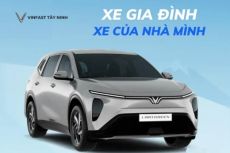 Cập Nhật Giá Lăn Bánh VinFast Limo Green Tại Trảng Bàng