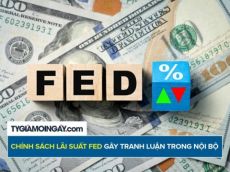 Chính sách lãi suất Fed gây tranh luận trong nội bộ