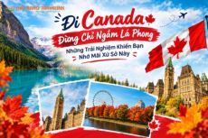 Đi Canada Đừng Chỉ Ngắm Lá Phong