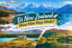 Đi New Zealand Mùa Nào Đẹp Nhất? Bí Quyết Chọn Mùa Cho Hành Trình