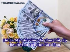 Đô La Mỹ giữ vững đà phục hồi, áp lực từ Fed tiếp tục tác động