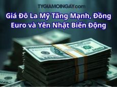 Giá Đô La Mỹ Tăng Mạnh, Đồng Euro và Yên Nhật Biến Động