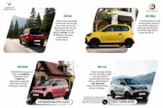 Giá Lăn Bánh Minio Green: Mẹo Chọn Phiên Bản Phù Hợp Với Ngân Sách