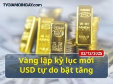 Hôm nay (2-12): Vàng lập kỷ lục mới, USD tự do bật tăng