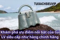 Khám phá ưu điểm nổi bật của túi LV siêu cấp như hàng chính hãng