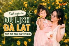 Kinh nghiệm du lịch Đà Lạt cùng gia đình có trẻ nhỏ