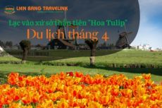 Lạc vào xứ sở thần tiên của ” Hoa Tulip” - Du lịch Hà Lan tháng 4