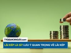 Lãi kép là gì? Vì sao được xem là kỳ quan thứ 8 của thế giới?