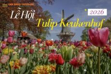 Lễ Hội Hoa Tulip Keukenhof Rực Rỡ 2026: Tour Châu Âu 10 Ngày