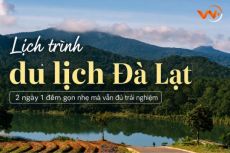 Lịch trình du lịch Đà Lạt 2 ngày 1 đêm gọn nhẹ mà vẫn đủ trải nghiệm