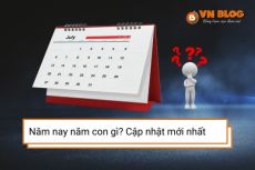 Năm nay năm con gì? Hợp với tuổi nào, kỵ tuổi nào?