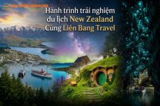 New Zealand hành trình du lịch đầy thú vị cùng Liên Bang Travel