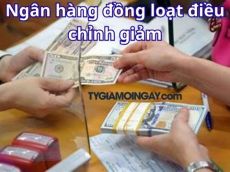 Ngân hàng đồng loạt điều chỉnh giảm, đồng nhân dân tệ cũng đi xuống