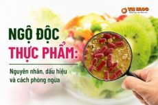 Ngộ độc thực phẩm: Nguyên nhân, dấu hiệu và cách phòng ngừa