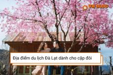 Những địa điểm du lịch Đà Lạt dành cho các cặp đôi lãng mạn nhất