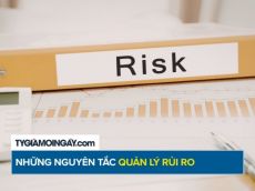 Những nguyên tắc quản lý rủi ro trong quá trình đầu tư kinh doanh