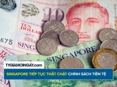 Singapore có thể tiếp tục thắt chặt chính sách tiền tệ