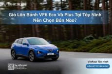 So Sánh Giá Lăn Bánh VF6 Eco Và Plus Tại Tây Ninh: Nên Mua Bản Nào?