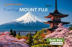 Tham Quan Núi Phú Sĩ: Biểu Tượng Vĩnh Cửu Của Xứ Sở Phù Tang