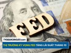 Thị trường kỳ vọng Fed tăng lãi suất trong tháng 10