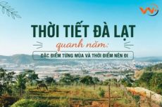 Thời tiết Đà Lạt quanh năm: Đặc điểm từng mùa và thời điểm nên đi