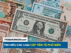 Tìm hiểu các loại cặp tiền tệ trong giao dịch Forex