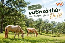 Top 4 vườn sở thú nhất định phải ghé tại Đà Lạt
