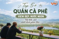 Top 5+ quán cà phê view đẹp, nước ngon tại Đà Lạt nhất định phải thử