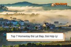 Top 7 Homestay Đà Lạt Đẹp, Giá Hợp Lý Và Được Yêu Thích