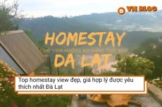 Top homestay view đẹp, giá hợp lý được yêu thích nhất Đà Lạt