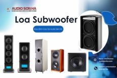 Top Những Mẫu Loa Subwoofer Hay: Bass Đỉnh Cao Audio Sơn Hà