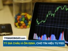 Tỷ giá châu Á ổn định, USD chờ tín hiệu mới từ Fed