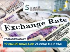 Tỷ giá hối đoái là gì? Cách tính và ảnh hưởng đến nền kinh tế
