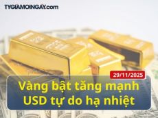 Vàng bật tăng mạnh, USD tự do hạ nhiệt - Tỷ giá mỗi ngày