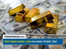 Vì sao nên trữ vàng hoặc USD khi kinh tế bất ổn?