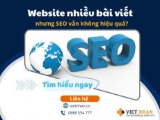 Vì sao website nhiều bài viết nhưng SEO vẫn không hiệu quả?
